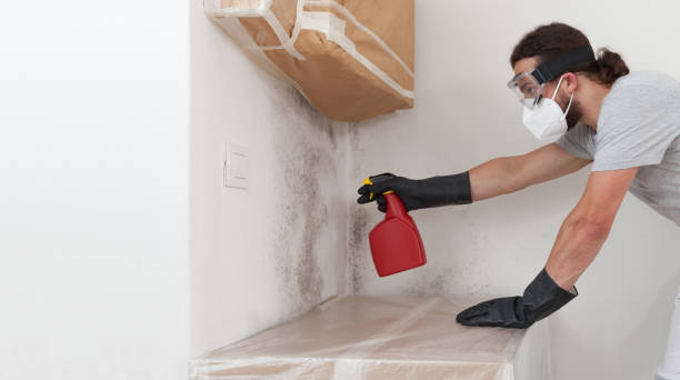 Professional Mold Remediation technician working in Hastings, PA