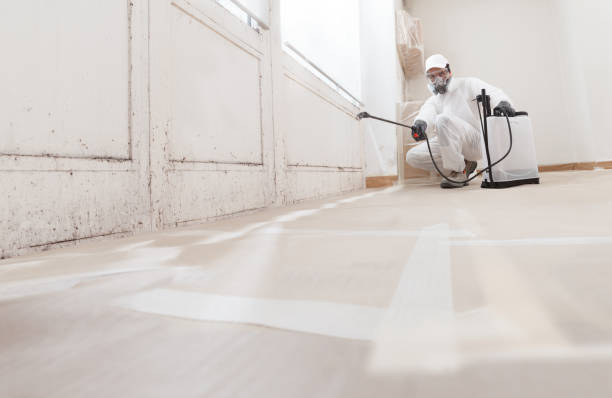 24/7 Emergency Mold Remediation experts in Hastings, PA