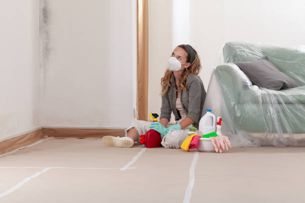 Reliable Mold Remediation contractor in Hastings, PA by WQB Mold Removal